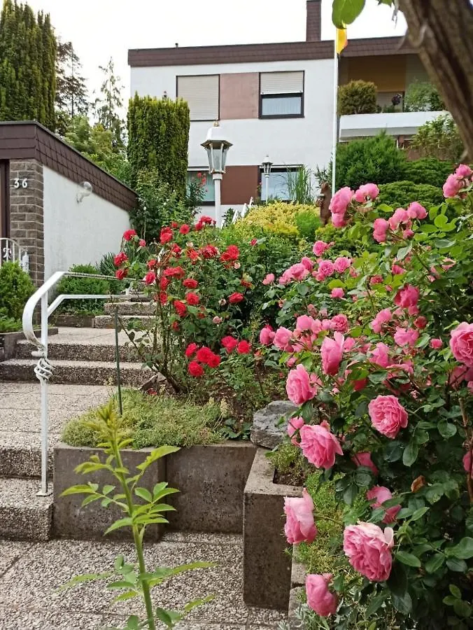 באד קיסינגן Apartments Gala, Ruhige Lage, Stadtnah באד קיסינגן