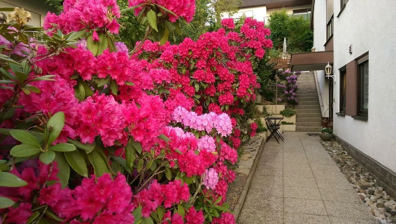 Apartments Gala, Ruhige Lage, Stadtnah Bad Kissingen