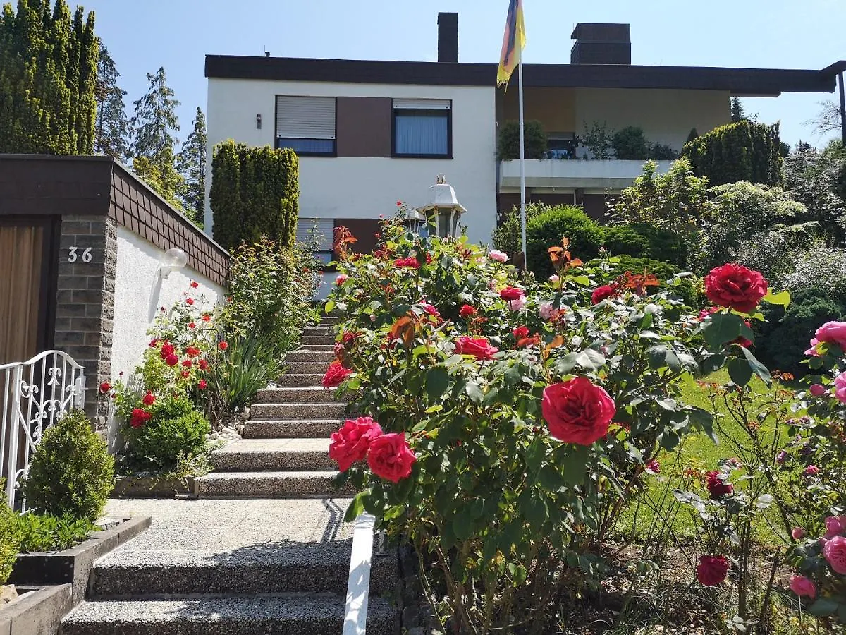 Apartments Gala, Ruhige Lage, Stadtnah Bad Kissingen 0*,